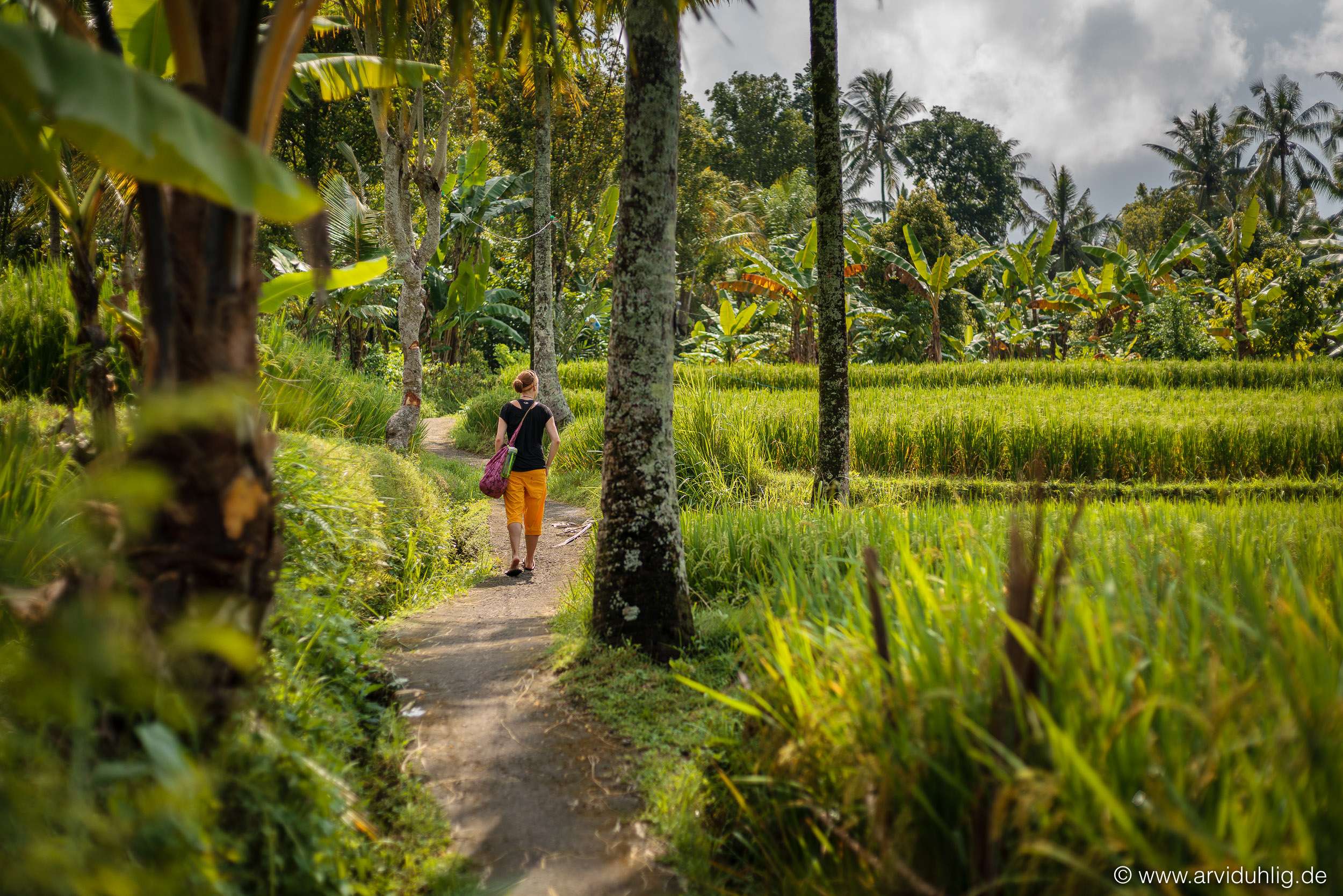 A long and winding path | sometimes beautiful and green, sometimes steep and grey